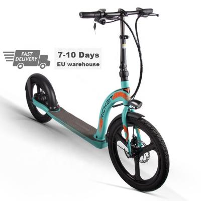 China 31-40km/h Safe Shipping 31-40km/h Safe Shipping 31-40km/h Eco-friendly Fast City Electric Foldable Electric Bicycle Rear 16inch Front 20inch Electric Scooter for sale