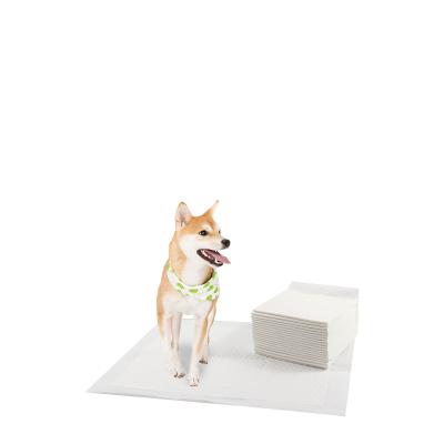 China High Quality Disposable Training Urine Mat In Bulk Doggie Puppies Dog Diaper And Pee Pad for sale