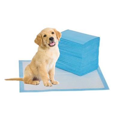 China Amazon Dog Sustainable Basics & Leakproof Puppy 5-Layer Potty Training Pads With Quick Dry Surface for sale