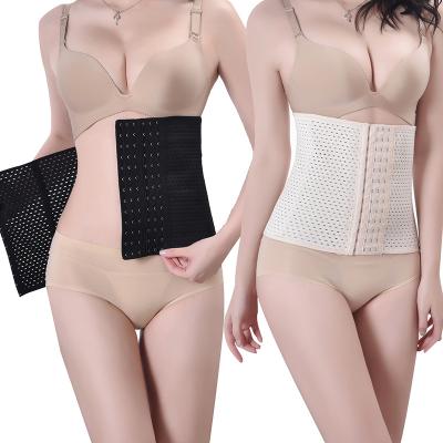 China Breathable Six-breasted Buckle Women Slimming Trainer Waist Trainer Waist Trainer Shaper Latex Waist Trainer Women Slimming Ladies for sale