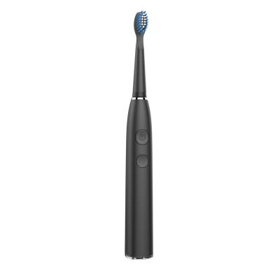 China Usb Oral Sonic Electric Toothbrush Automatic Powered Personal Health Care Factory Rechargeable for sale