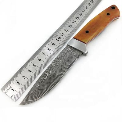 China Hunting Knife Damascus Fixed Blade Knife With Precious Natural Flower Horns Handle Small Straight Camping Hunting Knives for sale