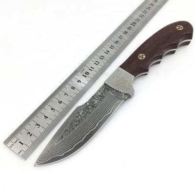 China EDC Hunting Knife Fixed Blade Knife With Damascus Sandalwood Steel Handle Forged Straight Knives for sale