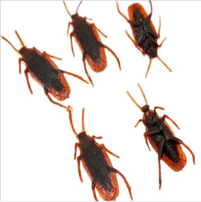 China RTSWY-134 PVC Joke Prank Maker Fools Toy Halloween Party April Fools Day Fake Cockroach The Fake for sale