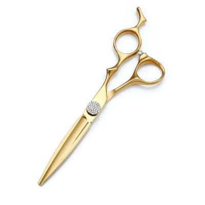 China Hair Cutting Scissors 6 Inch Gold Stainless Steel Hair Cutting Trimming Shears Tools for sale