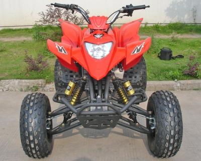 China Red 250CC Utility Vehicles ATV 8