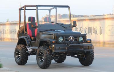 China Minijeep 4WD, der ATV-Sport-Gokart-Buggy für Erwachsenen, Gokart 300cc läuft zu verkaufen