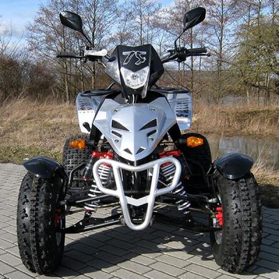 中国 ATV 2xの油圧ディスク ブレーキの前部1xリヤ・ブレーキを競争させる348cc 4打撃の青年 販売のため