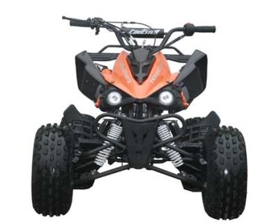 China Engine 125cc Fully Auto Youth Racing ATV With Reverse Max Load 65kg Electric Start for sale