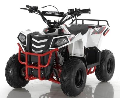 China 110cc Bore Stroke 52.4mm×49.5mm ATV Quad Bike for sale