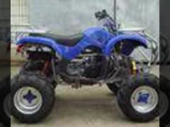 Electric 8“ Rim 250cc ATV Quad Bike 4 Wheel Motorbike With Manual Clutch