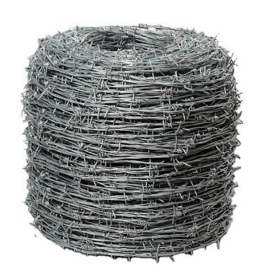 China High Quality And High Quality Galvanized Iron Wire Mesh Wire Mesh Price Of Each Roll : Galvanized Iron Wire Mesh for sale