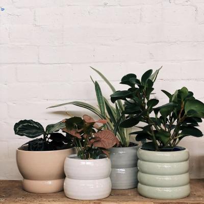 China Cheap modern unique design home creative ceramic pots balcony plant decoration pot ware planter pot for sale