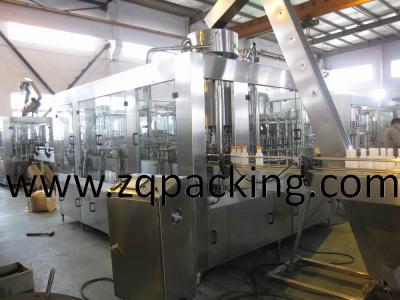 China Good Quality in 2014 Automatic Bottle Juice Filling System/Equipment for sale