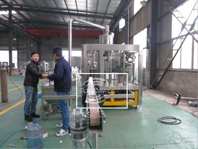 China 500ml Standard For PET Bottle Carbonated Drink Filling Equipment for sale