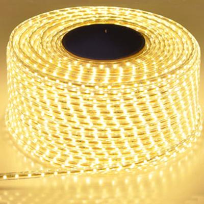 China White Waterproof Garden LED Strip Light AC 220 Strip Led Strip 220v Flexible Led Ribbon 5050 Warm White Lighting With EU Plug for sale