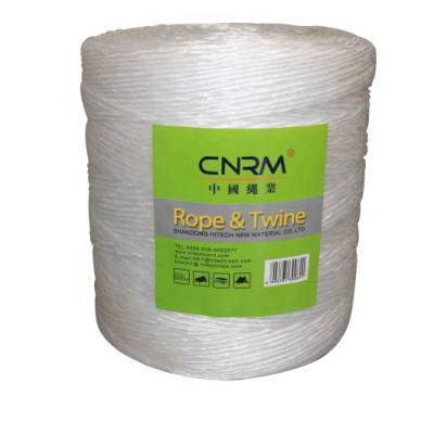 China Crafting Projects Split Film Polypropylene Tying Twine - Bundling Tying And Polypropylene Twine Bundling for sale