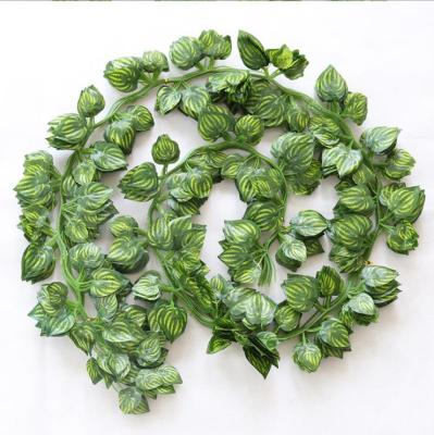 China Natural Touch Wholesale 12 Strands Hanging Greenery Ivy Vines Garland Artificial For Wedding for sale