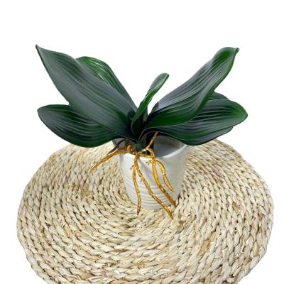 China Real Touch Latex 5 Leaves Natural Green Plant Leaf Artificial Touch Orchid Leaves For Pots Decor for sale