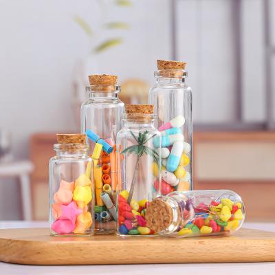 China Household Products High Borosilicate Clear Glass Bottle With Wooden Cork for sale