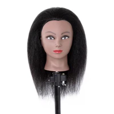 China With Wig Cosmetology 100% African American Salon Practice Cheap Human Hiar Hairdresser Braining Dummy Head Training Mannequin Doll Afro for sale