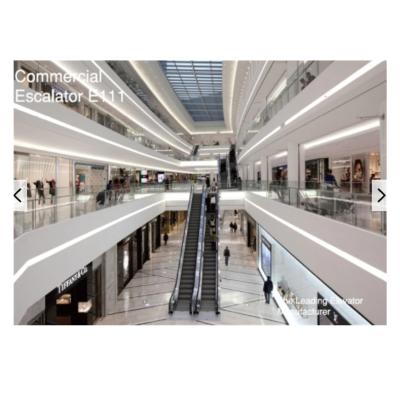 China Contemporary 35 Degree Tempered Glass Fuji Escalator Indoor Heavy Duty Shopping Mall Moving Walk Escalator for sale