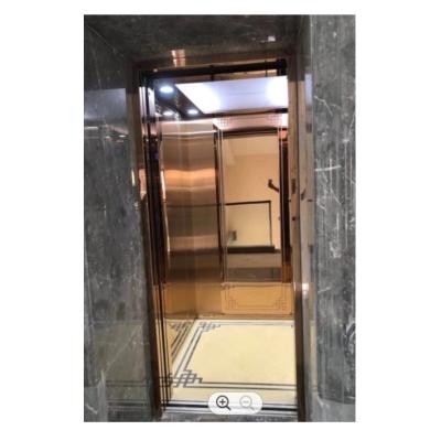 China FUJI Contemporary Variety of Hydraulic Floor Lifts 250KG 0.3m/s Compact Hydraulic Home Lift for sale