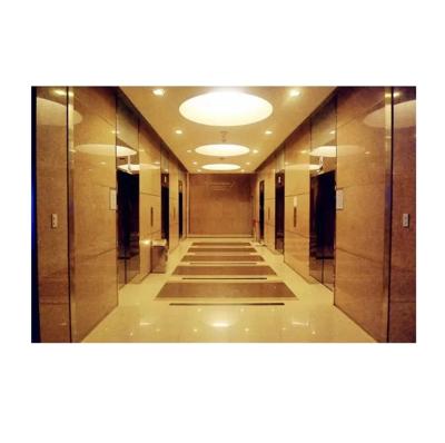 China Fuji Elevators 900KG 2.0m/s VVVF Motor Factory Direct Sales Contemporary Gearless Home Passenger Elevators for sale