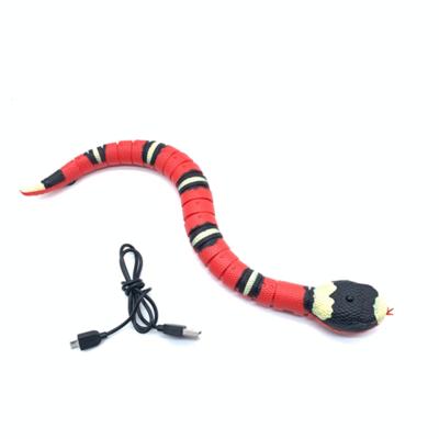 China Wholesale Viable Cat Toys Electric Snake Interactive Toys Dogs Cat Accessories Teasing Pet Toys for sale