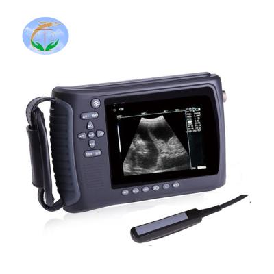 China Steel Handheld Palm Veterinary Ultrasound For Animals Pregnancy Examination For Cattle And Sheep for sale