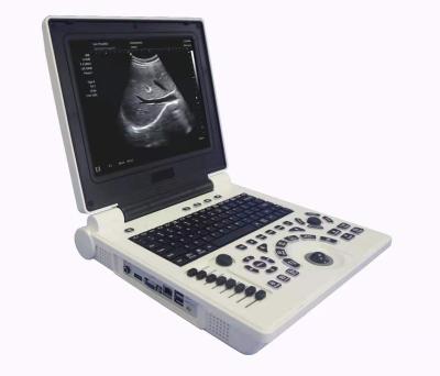 China Urology 3D Color Doppler Ultrasound Scanner With Convex Probe /Ultrasonic Diagnosis Medical For Clinic for sale