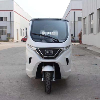 China Factory Sale Adult Passenger Tricycle New Energy Electric Car China EEC Various Fully Enclosed Scooters 25km/h Mini Electric Trike Car for sale