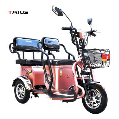 China Passenger 48v20ah 350W TAILG Electric Tricycle For Entertainment For Passenger for sale