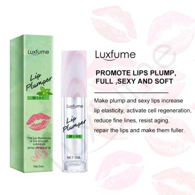 China Luxfume factory manufacture private label vegan mint plumper oil nourishing nourishing lip for sale