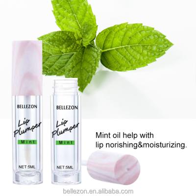 China Wholesale Mint Newcomer Bellezon Perfume Oil Organic Lip Maximalist Nourishing Plumper Private Label for sale