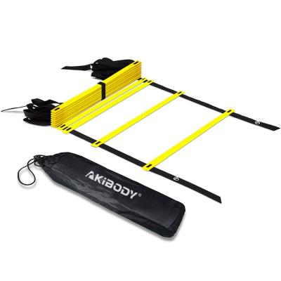 China Mobile Portable Outdall Sports Soccer Football Training Adjustable Speed ​​Agility Ladder Set for sale