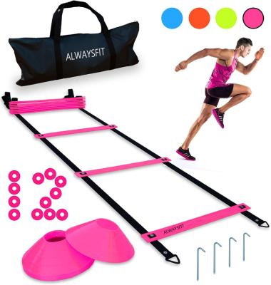 China Fast Adjustable Speed ​​Resistance Explosiveness Agility Training Wholesale China Factory Supply Forming Retractable Extension Folding Speed ​​Ladder for sale