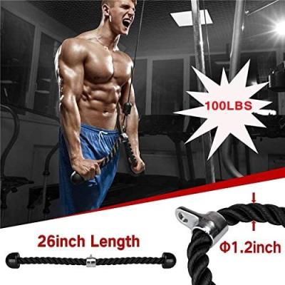 China Durable Home Gym Equipment Fitness Pulley Cable System For Weightlifting Arm Strength Fitness for sale