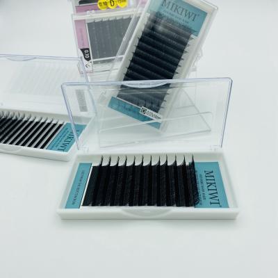 China Lightweight Wholesale Private Label Eyelash Extension With Packaging Custom Eyelash Extension Supplies for sale