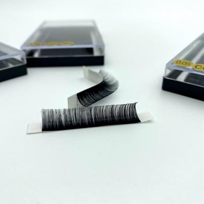 China Light Private Volume Lash Individual Eyelash Extensions Silk Eyelash Extensions Korean Eyelash Extension Mink for sale