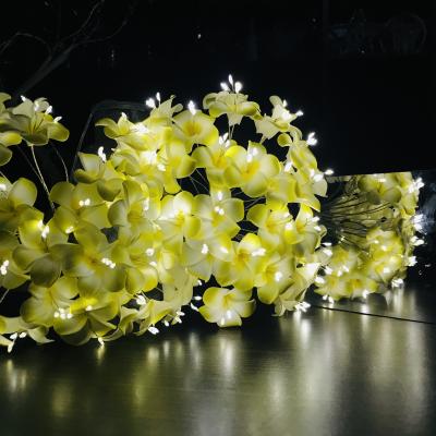 China Handmade Decorative Lights Plumeria 66L Rubra Flower Battery Operated String Lights / Fairy / Lamp for sale