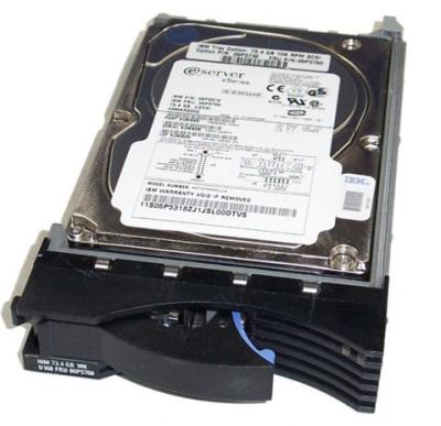 China Internal 3.5 Inch Hard Drive 5208 73P8005 73P8017 300G 10K FC Server HDD DS4300 for sale