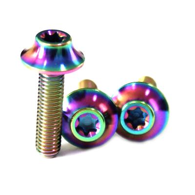 China High Strength And Lightweight High Strength And Light Weight Titanium Alloy Umbrella Screw Texture Main Screws For Motorbicycles for sale