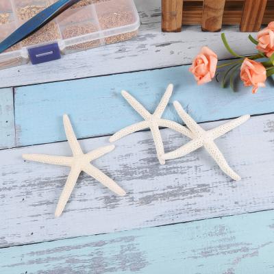 China No Craft White Natural Decoration Starfish Finger Finger Starfish Jewelry Making Findings Accessories Starfish for sale