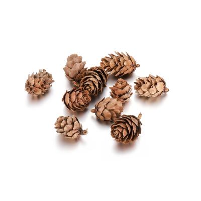 China No Natural 3 Sizes Real Pine Cones Bauble For DIY Epoxy Resin Mold Pendant Necklace Jewelry Making Findings Accessories for sale