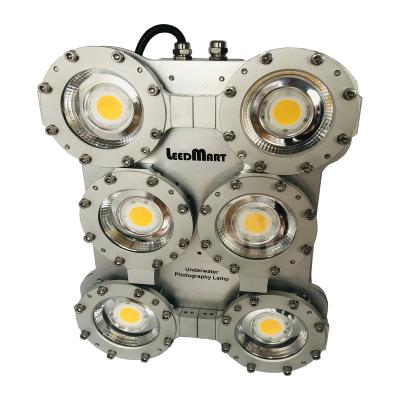 China PORTABLE Underwater LED Lighting Socket Photographic Video Light Lamp LED White Light for sale