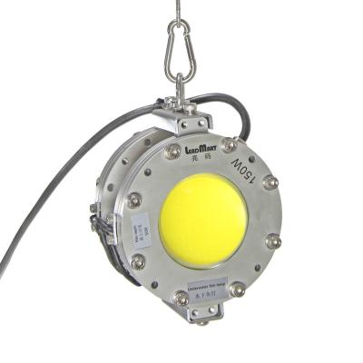 China Hot Sale Fishing Led Lights Underwater Led Lighting Fishing Light LMTGJ-13 for sale