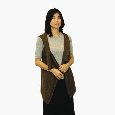 China Anti-pilling Women's Cashmere Fashion Sweater Sleeveless Cardigan 100% Knitted Vest for sale