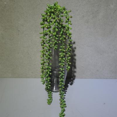 China Art Decor Wholesale Cheap Price Real Touch Succulent Plants for sale