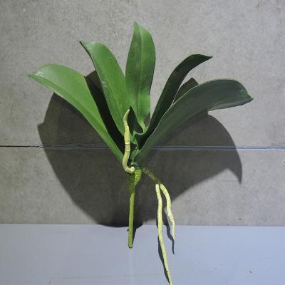 China Art Decor Hot Selling Artificial Green Plants High Simulated Decorative Orchid Leaves for sale